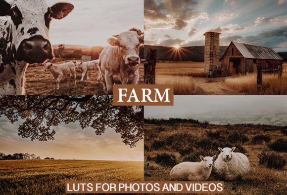 Download Desktop and Mobile Lightroom Presets - Premium Resources